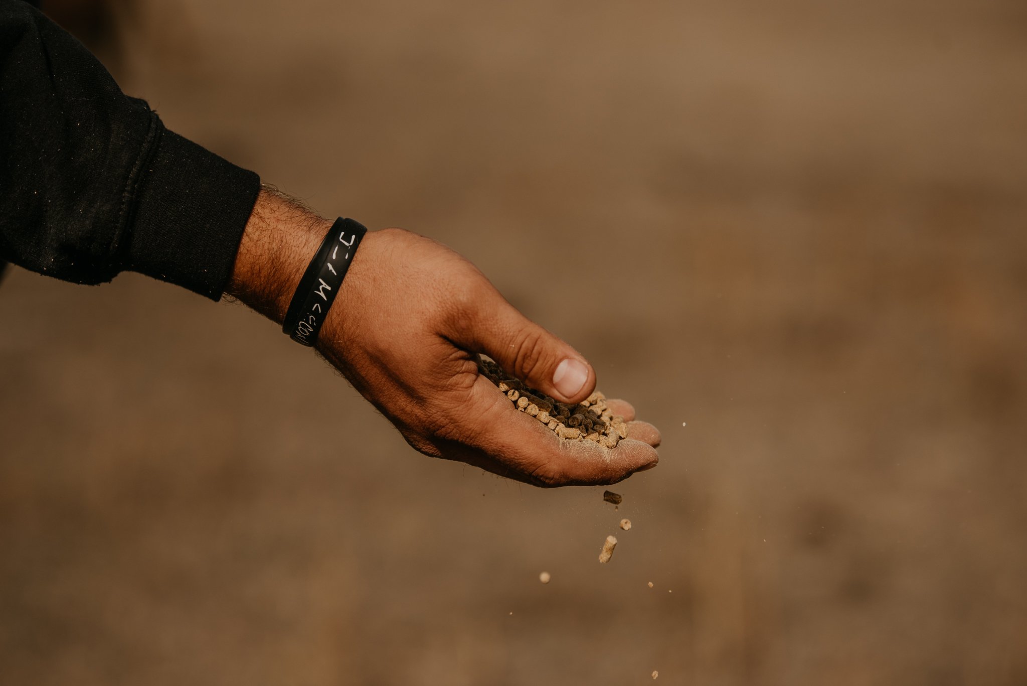 Hand releasing small granules of soil or seeds, showcasing agricultural practices, with a focus on sustainable farming techniques.